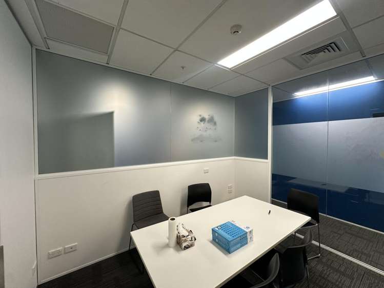 103 Carlton Gore Road Newmarket_11