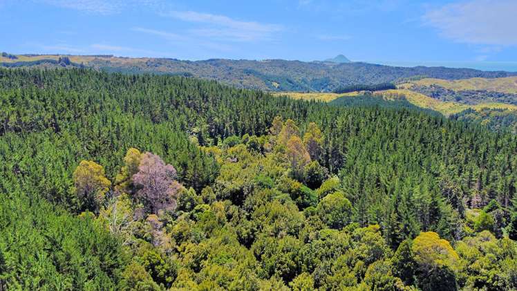 700 Burma Road Maraetotara_10