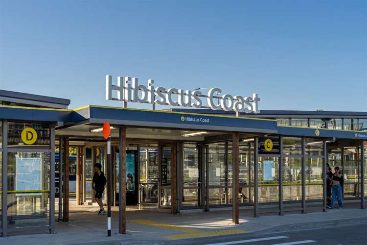 158 Pine Valley Road Dairy Flat_9