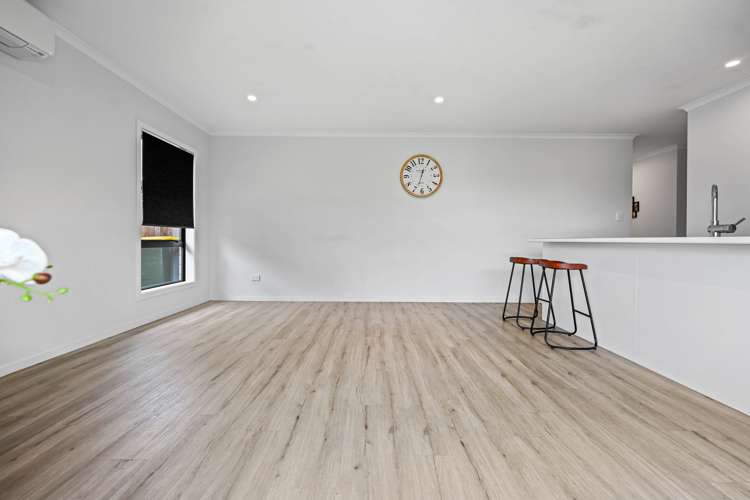 14 Taotahi Avenue Dinsdale_7