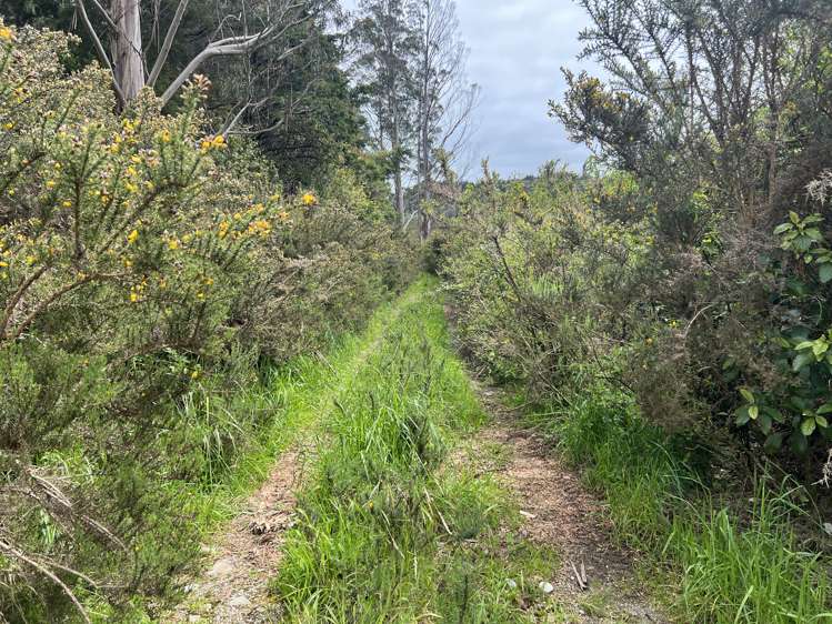 Marsden Road Marsden_1