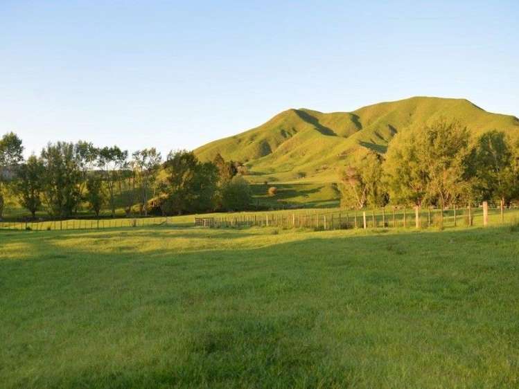 153 Hill Road Te Aroha_17