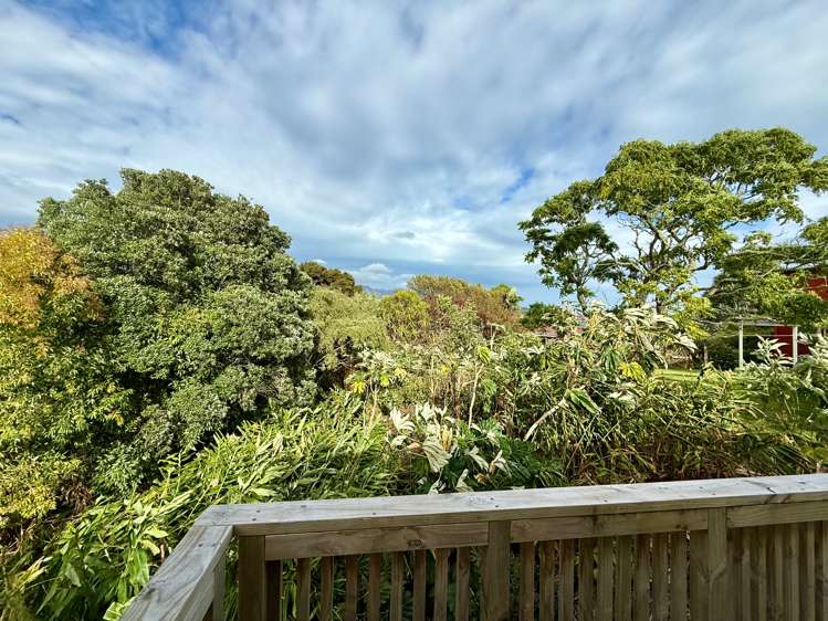 7B Rose Street Raglan_39