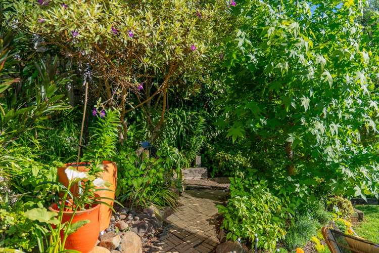 191 Buffalo Beach Road Whitianga_31