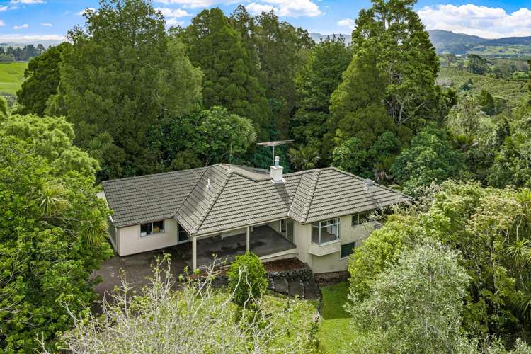 224 Whitehills Road Waitoki_2