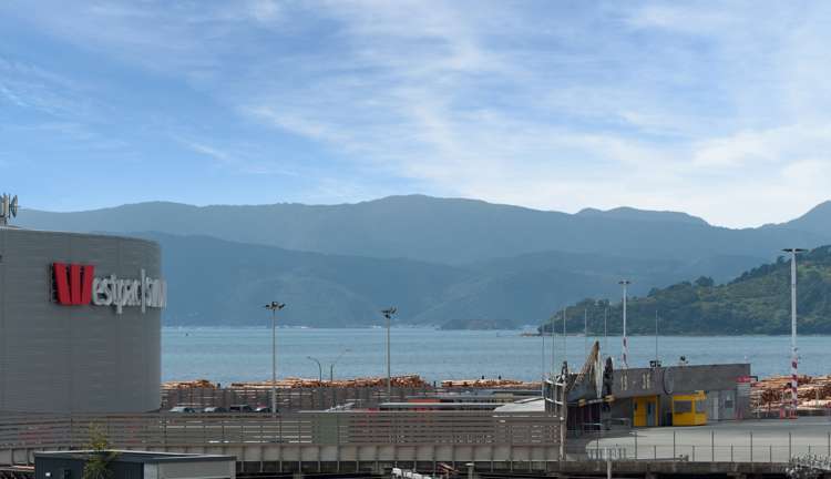 12/28 Hobson Street Thorndon_2