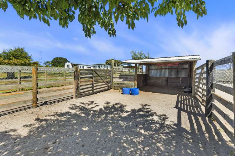 1/39 Maungakawa Road Cambridge_18