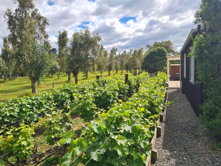 49 Oxford Street Martinborough_29