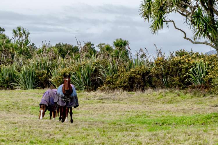 Lot 1 Tasman Way Ross_4