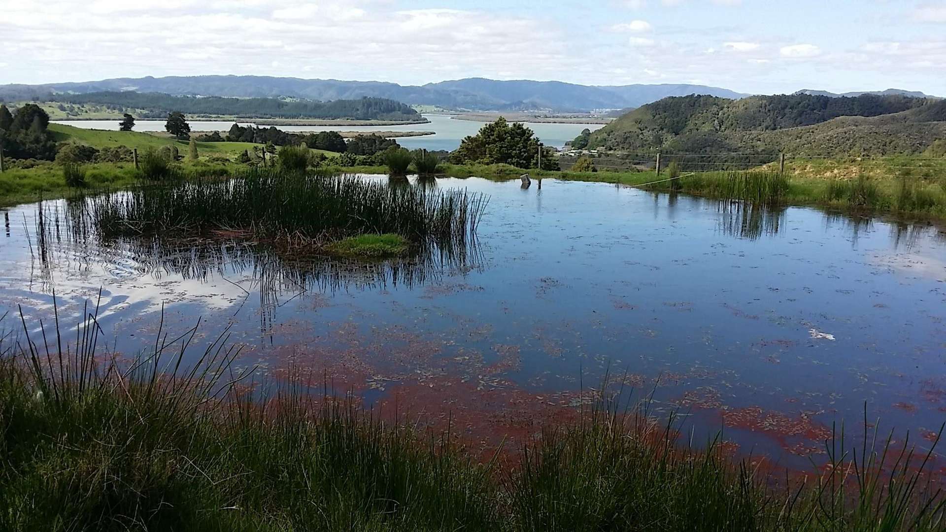 Lots 4,5,6 Taheke Road Taheke_0