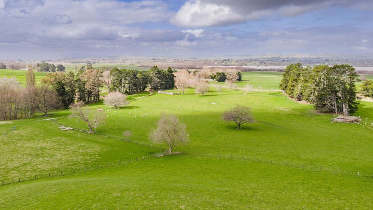 352 Hatuma Road Waipukurau and Surrounds_1