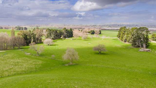 352 Hatuma Road Waipukurau_1