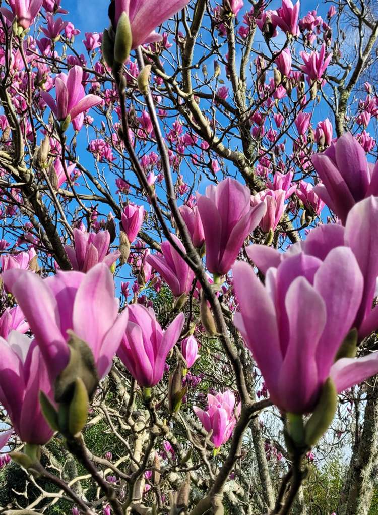 376 Neudorf Road Upper Moutere_19