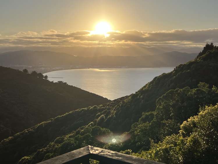 16b Fernhaven Grove Newlands_22