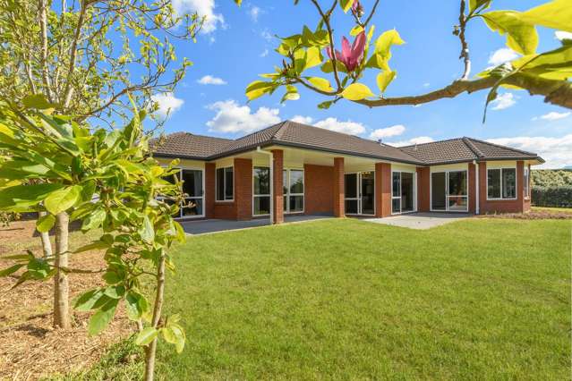 407 Youngson Road Whakamarama_4