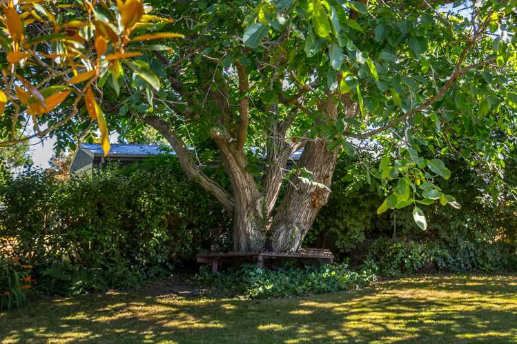 94 Church Street Masterton_20