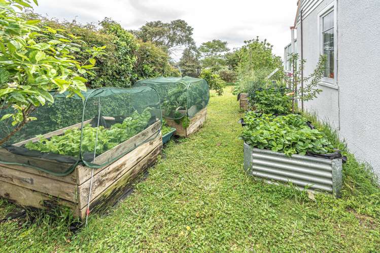 60 Purnell Street College Estate_14