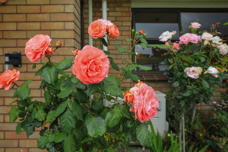 30A Kea Street Piopio_29