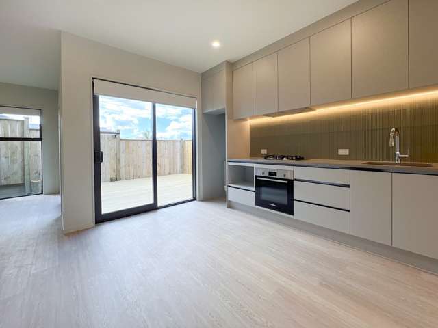 46B Tiroroa Avenue 1802_1