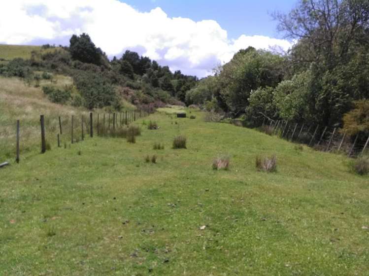 238 Punga Punga Road Pukekawa_8