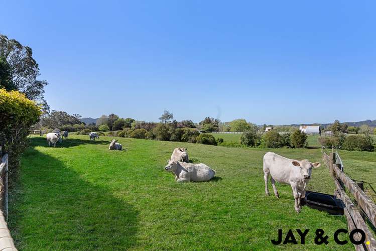 1 Tourist Road Clevedon_13