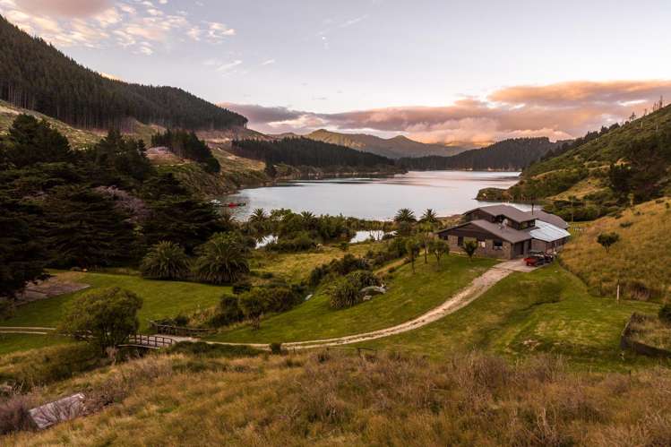 528 Oyster Bay Marlborough Sounds_54