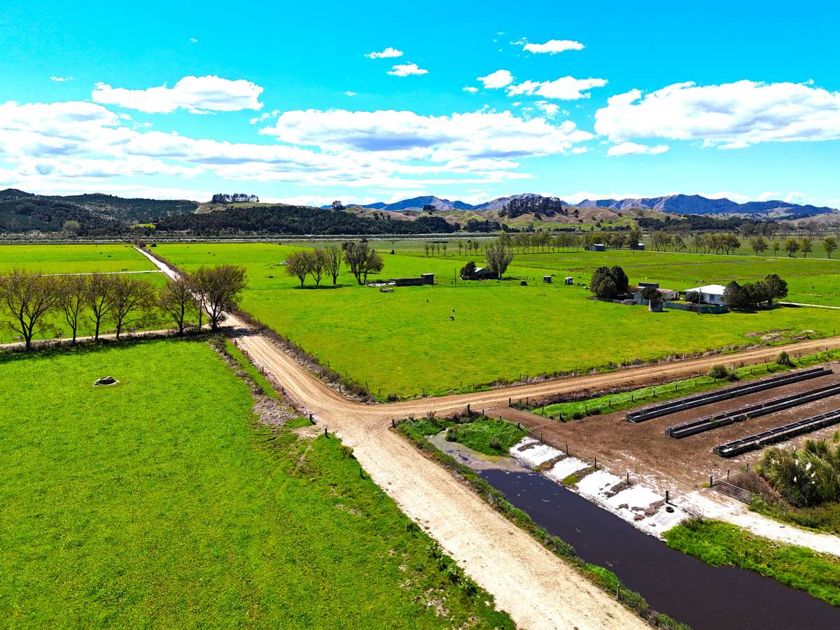 981 Hoanga Road_2