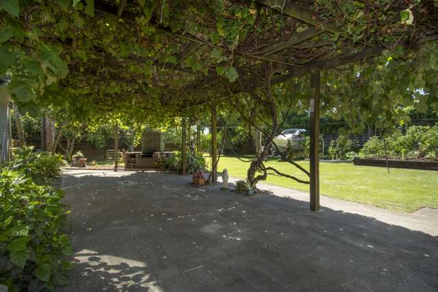 9 Rosemary Place Katikati_4