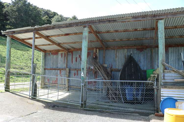 412a Paihia Road Kawakawa_19