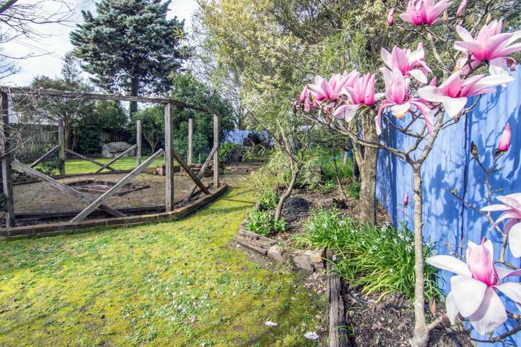 120 Lincoln Road Masterton_7