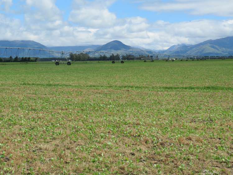 128 Flemings Road Methven_11