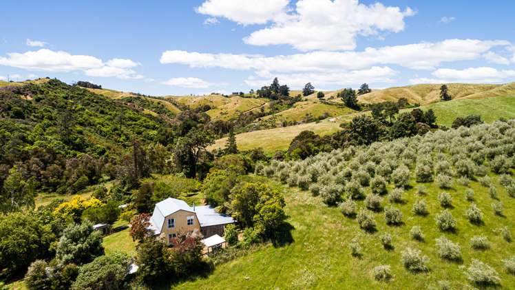 749 Rosedale Road Ngatimoti_2