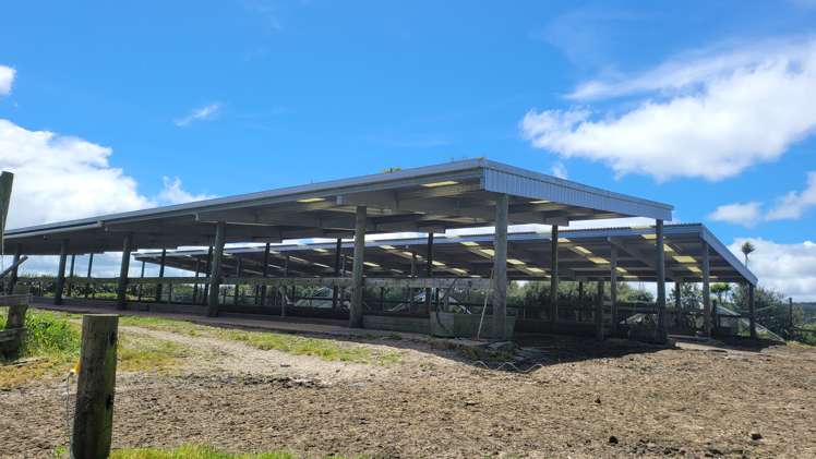 689 Mangatu Road Dargaville Surrounds_6