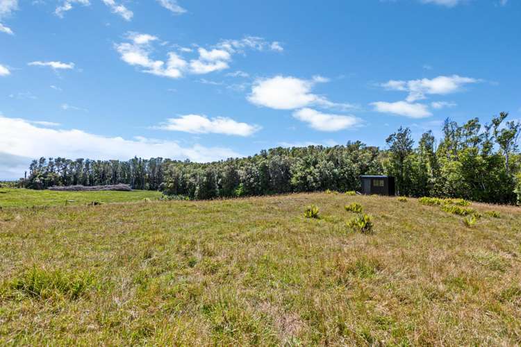 1878 Mangorei Road Mangorei_23