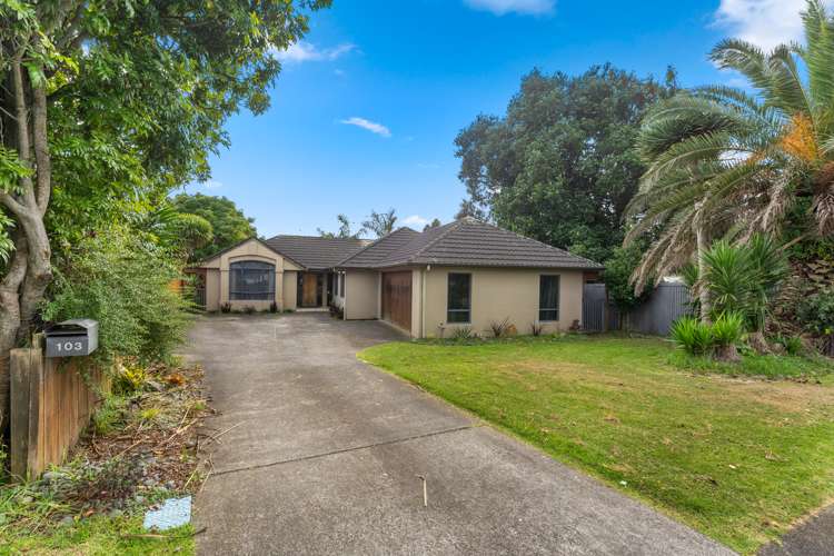 103 O'Connor Drive Pukekohe_3