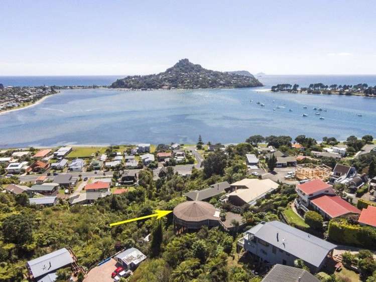 12 Pine Grove Tairua_0