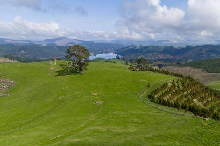 494B Dods Road Waikite Valley_12
