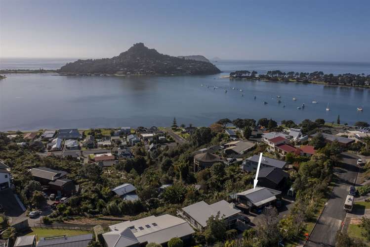 4 Pine Grove Tairua_19