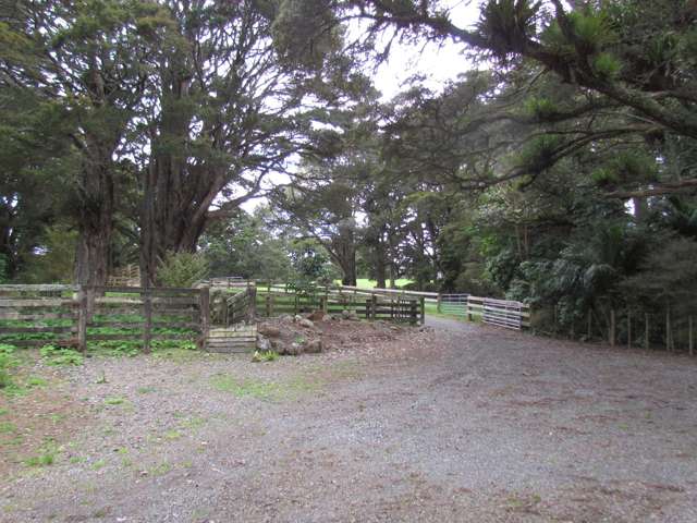 Tremain Road Ruatangata West_4