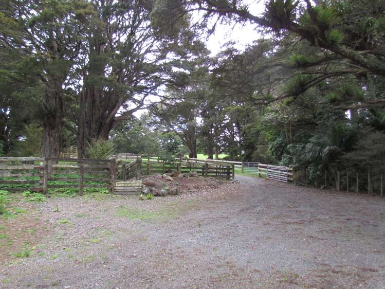 Tremain Road Ruatangata West_4