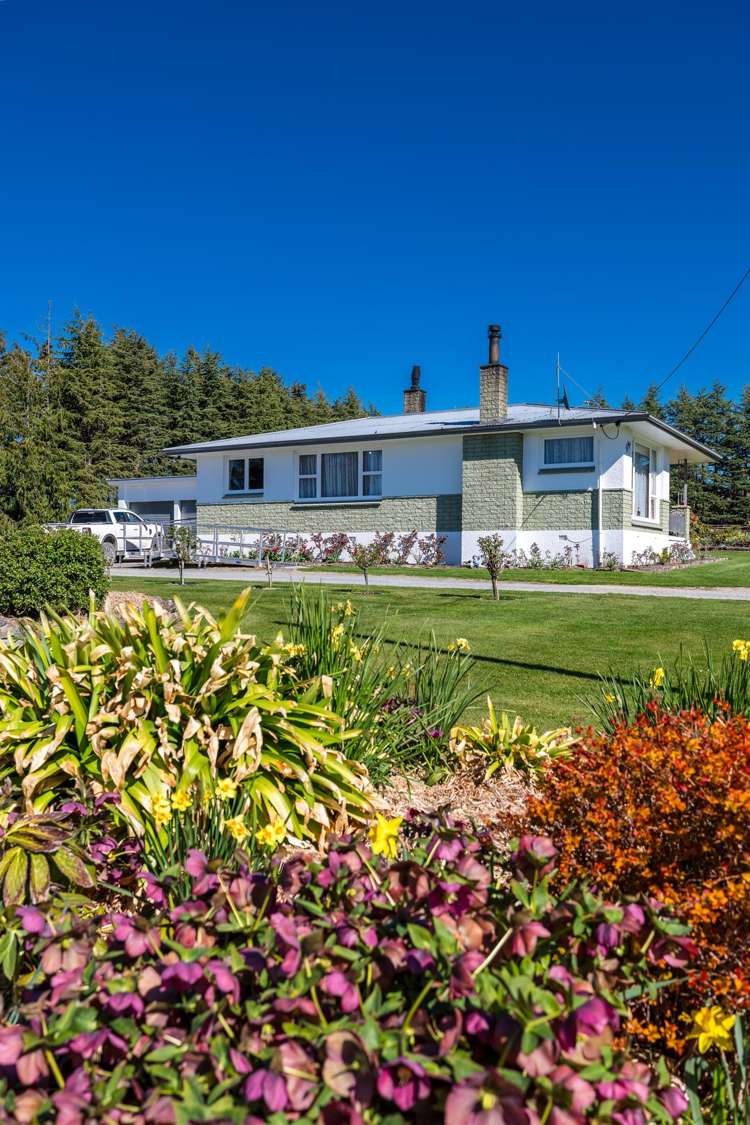 467 Waihaorunga Back Road Elephant Hill_15