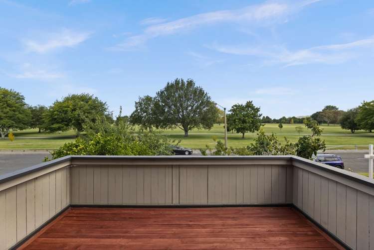 102 Freyberg Avenue Tamatea_2