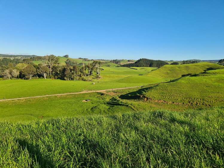 801 Mangorei Road Mangorei_16