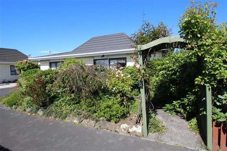 157c Macandrew Road South Dunedin_2