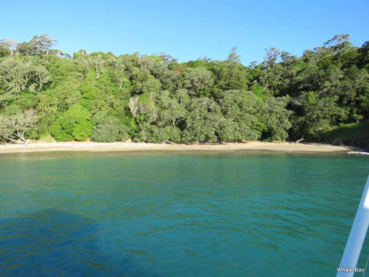 Lot 1&7 Clements Road Matapouri_16