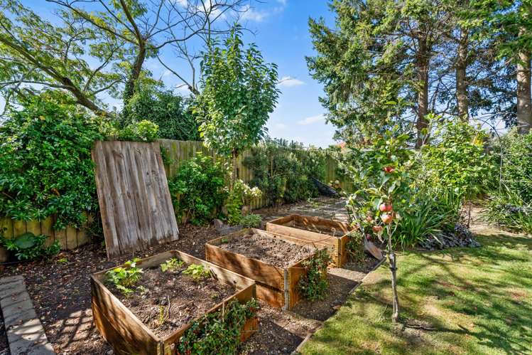 46 Colman Avenue Upper Riccarton_32