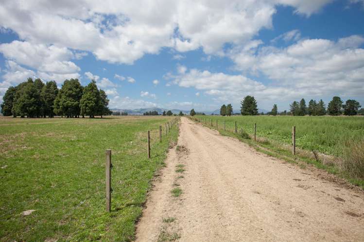 1067 Hauraki Road Paeroa_11