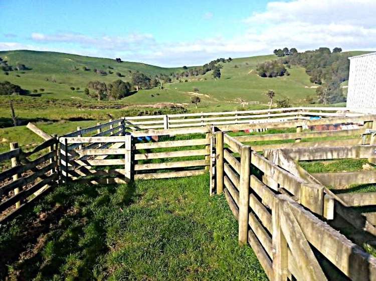 435 Parahi Road Ruawai_16