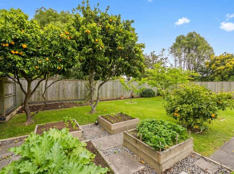 318 Te Moana Road 1366_14