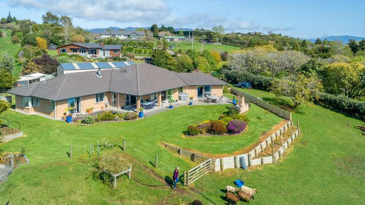 233 Waipapa Block Road Whakamarama_21